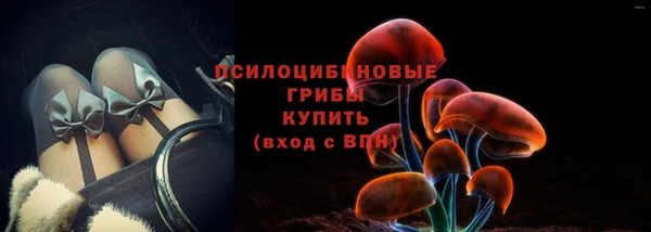 хмурый Абинск