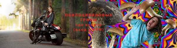 тгк Алексин