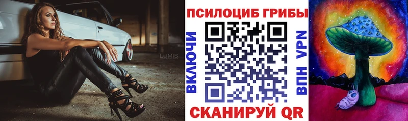 закладка Карасук Псилоцибиновые грибы MAGIC MUSHROOMS